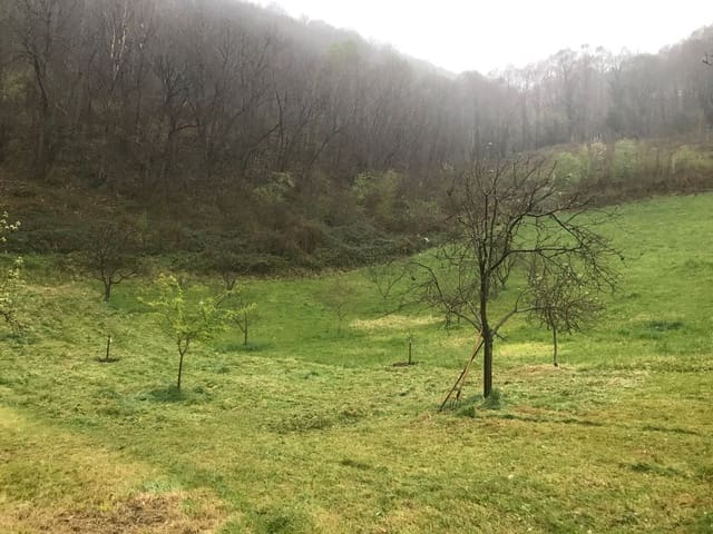 Mark till salu i Mieres - 94 000 € (Ref: 5179054)