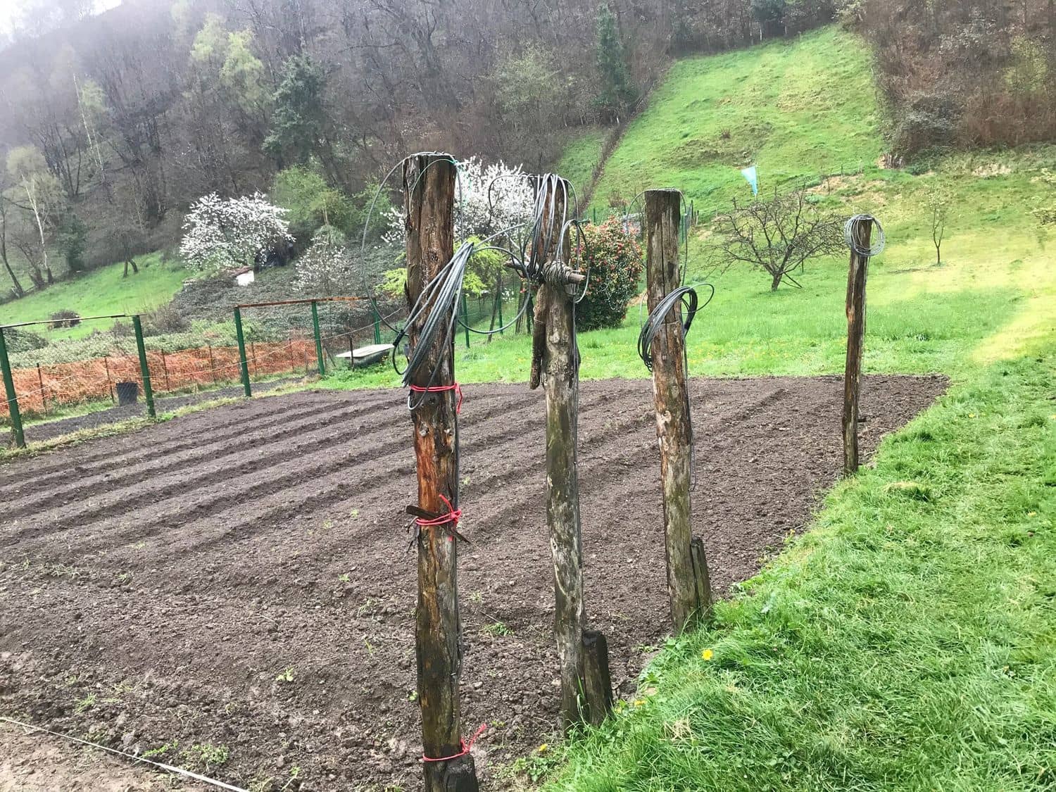 Grunde uden byggetilladelser til salg i Mieres - € 94.000 (Ref: 5179054)