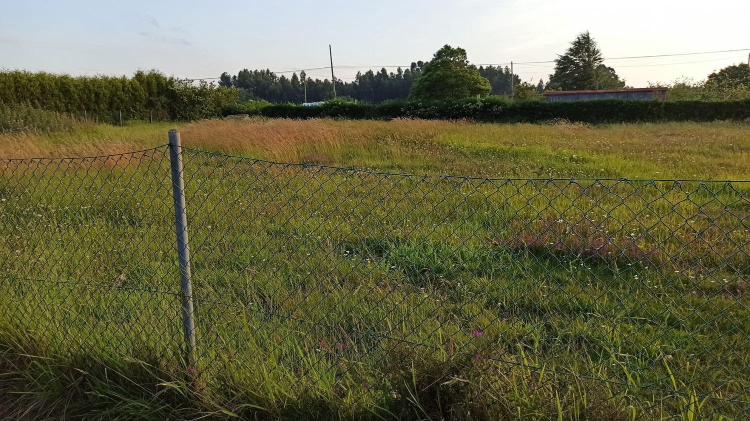 Terreno Não Urbanizado para venda em Castrillon - 60 000 € (Ref: 5330630)