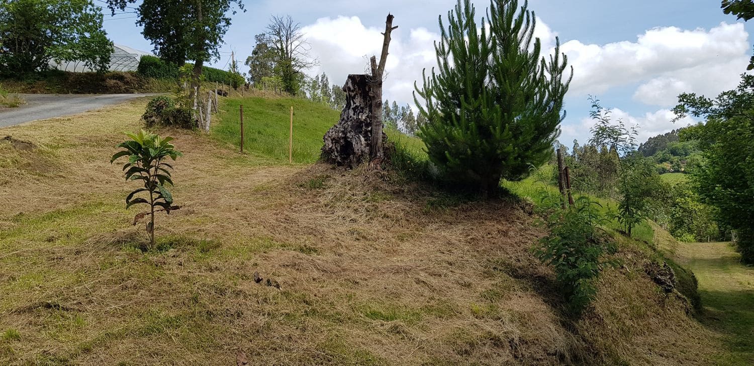 Undeveloped Land for sale in Gijón € 32,000 (Ref 5388797)