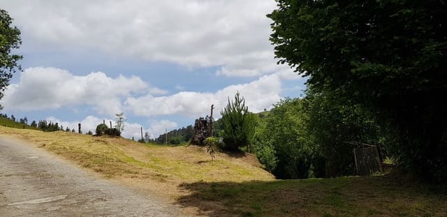 Landgrundstück zu verkaufen in Gijón - 29.800 € (Ref: 5388797)
