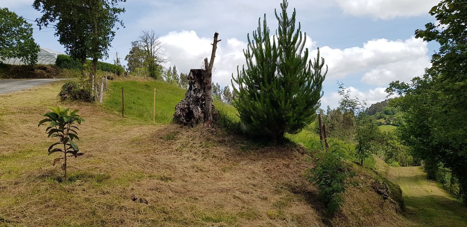 Mark till salu i Gijon - 29 800 € (Ref: 5388797)