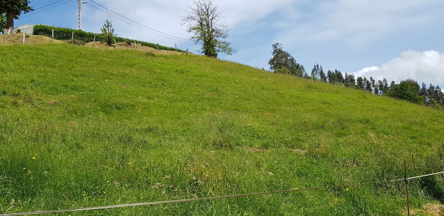 Mark till salu i Gijon - 29 800 € (Ref: 5388797)