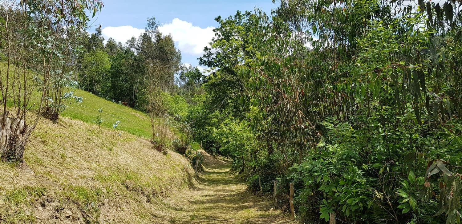 Mark till salu i Gijon - 29 800 € (Ref: 5388797)