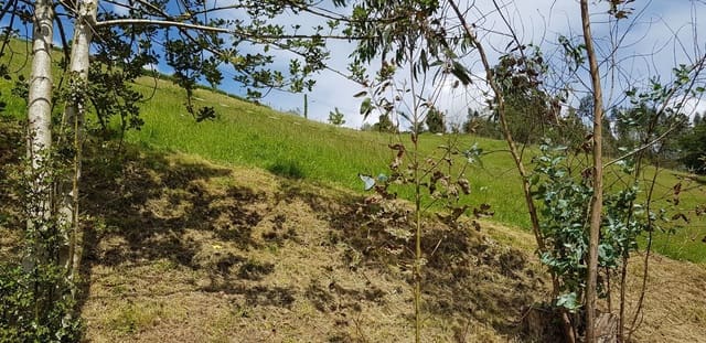 Mark till salu i Gijón - 29 800 € (Ref: 5388797)