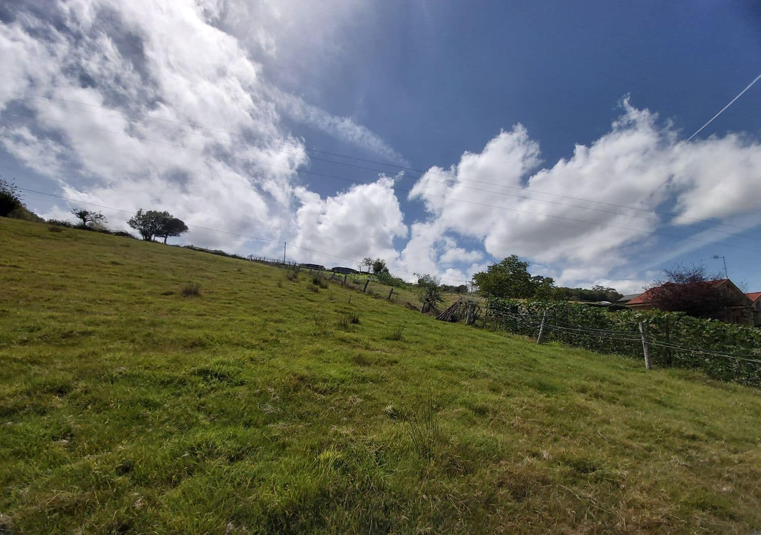 Grunde uden byggetilladelser til salg i Villaviciosa - € 120.000 (Ref: 5521110)