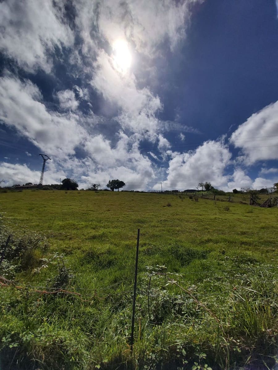 Grunde uden byggetilladelser til salg i Villaviciosa - € 120.000 (Ref: 5521110)