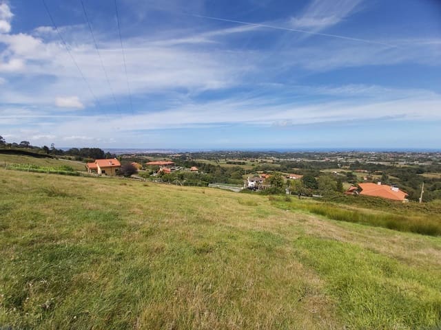 Undeveloped Land for sale in Villaviciosa - € 120,000 (Ref: 5521110)