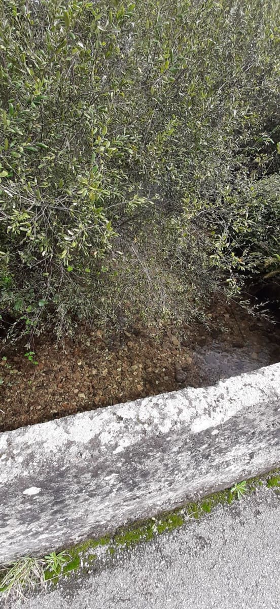 Ubebygd land til salgs i Cudillero - € 46 900 (Ref: 5668877)