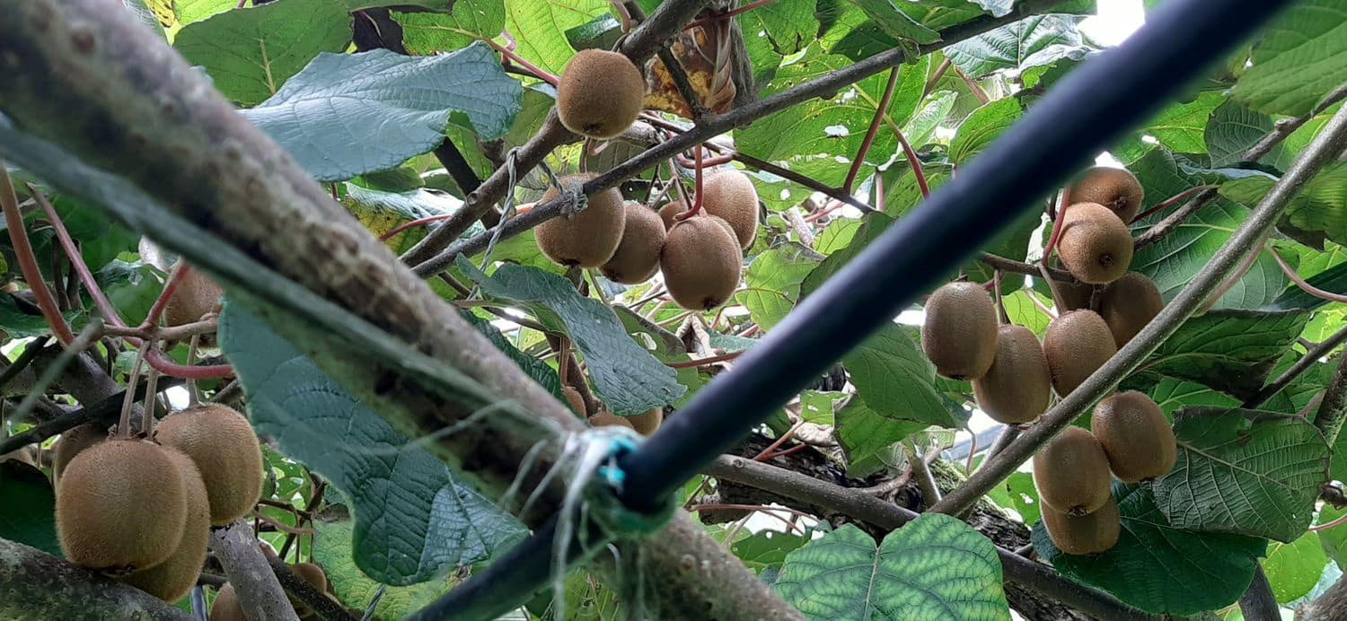 Ubebygd land til salgs i Cudillero - € 46 900 (Ref: 5668877)