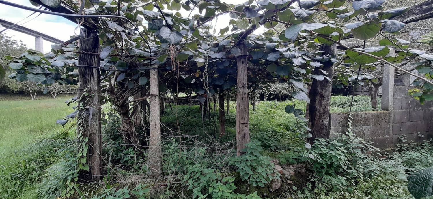 Ubebygd land til salgs i Cudillero - € 46 900 (Ref: 5668877)