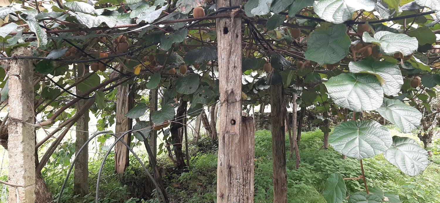 Ubebygd land til salgs i Cudillero - € 46 900 (Ref: 5668877)