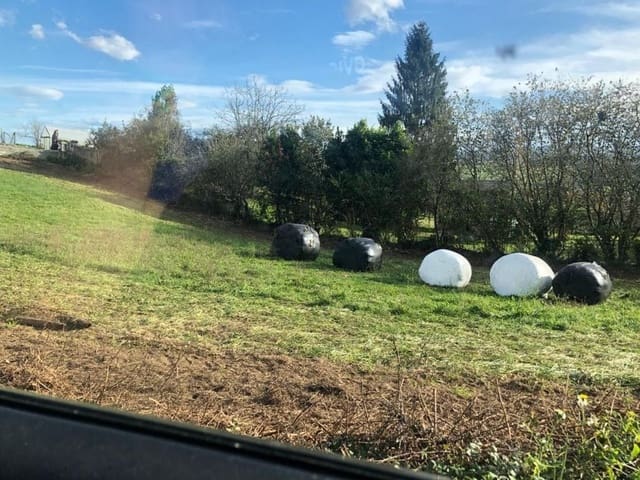 Undeveloped Land for sale in Siero - € 49,500 (Ref: 5803570)