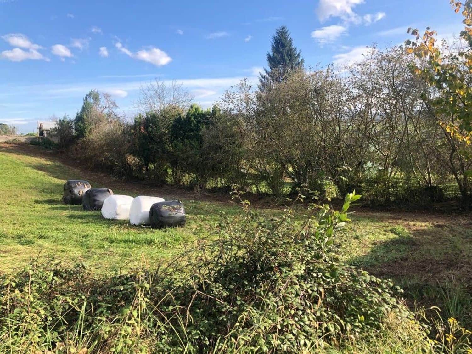 Grunde uden byggetilladelser til salg i Siero - € 49.500 (Ref: 5803570)