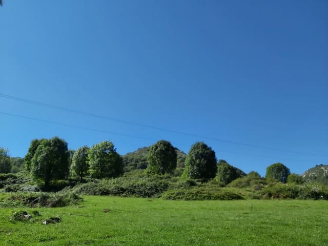 1 soverom Finca/Herregård til salgs i Onís - € 160 000 (Ref: 6136073)