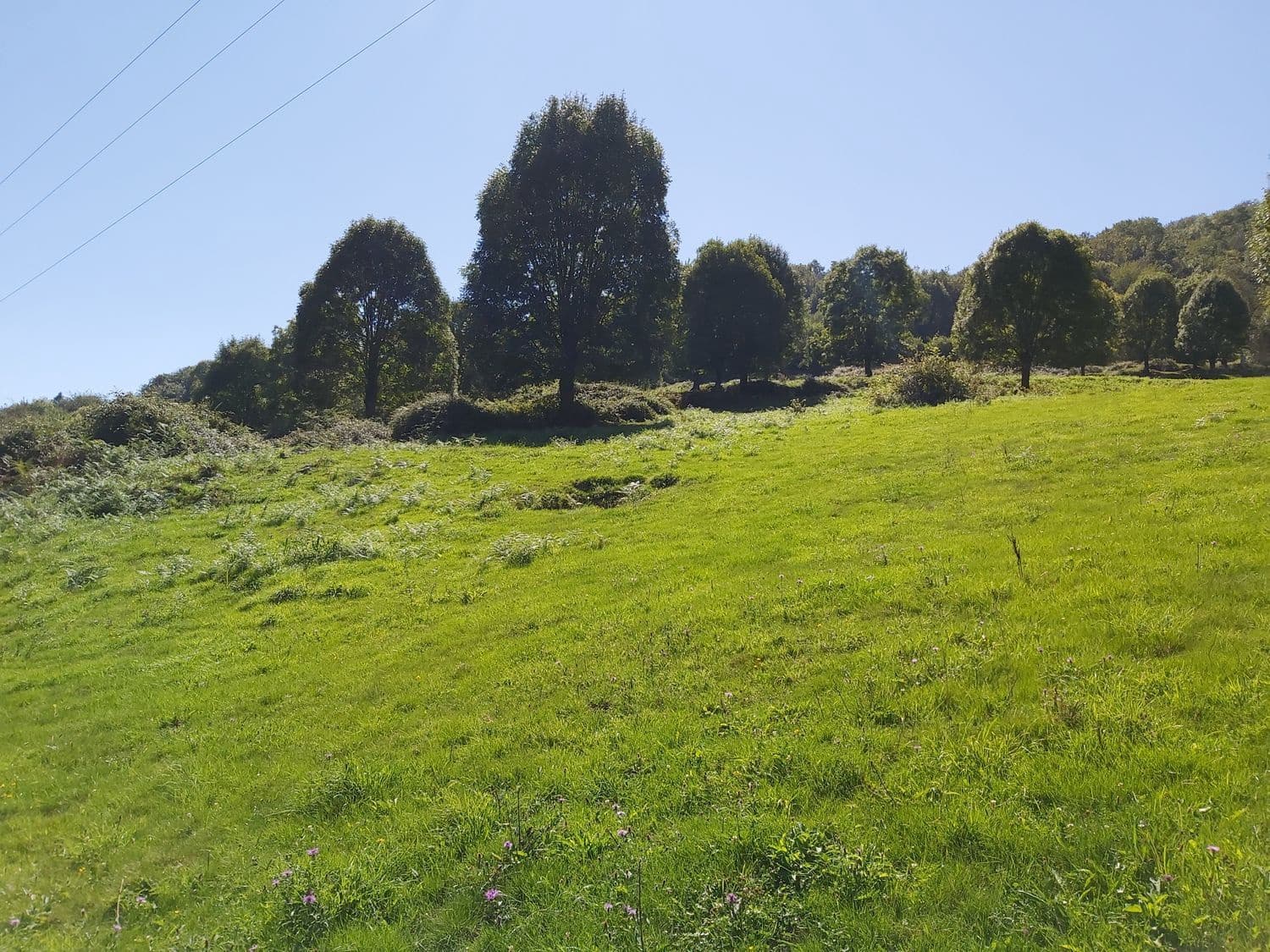 1 bedroom Finca/Country House for sale in Onis - € 160,000 (Ref: 6136073)