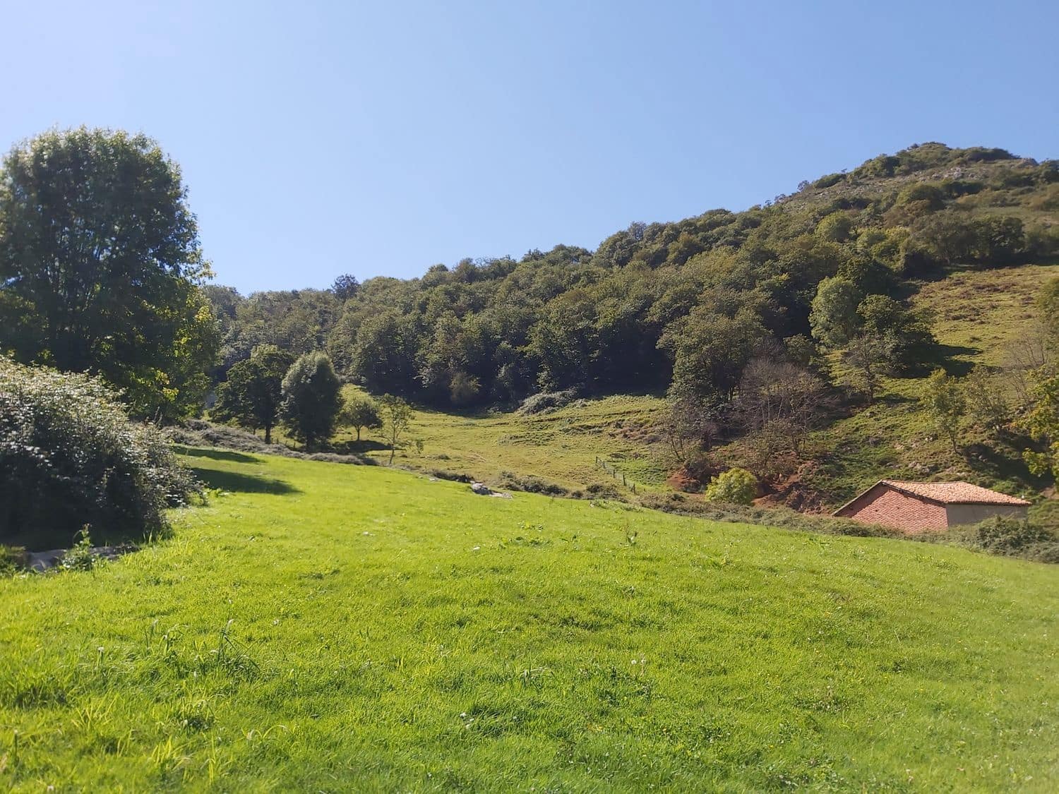 1 bedroom Finca/Country House for sale in Onis - € 160,000 (Ref: 6136073)