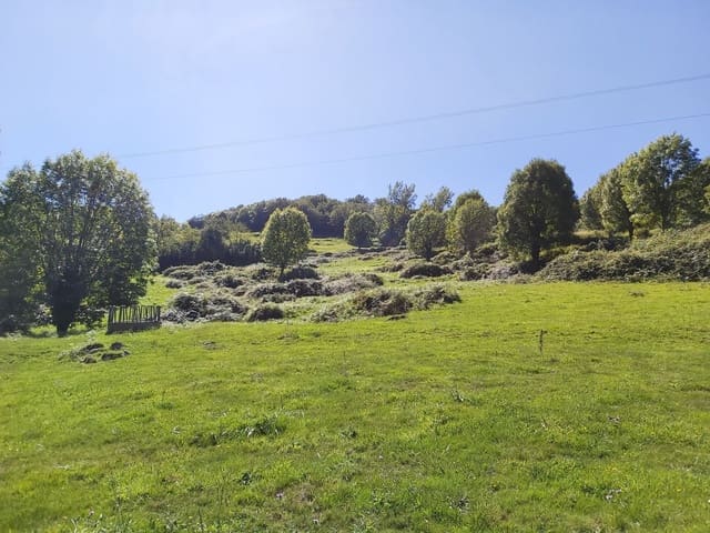 1 soverom Finca/Herregård til salgs i Onís - € 160 000 (Ref: 6136073)