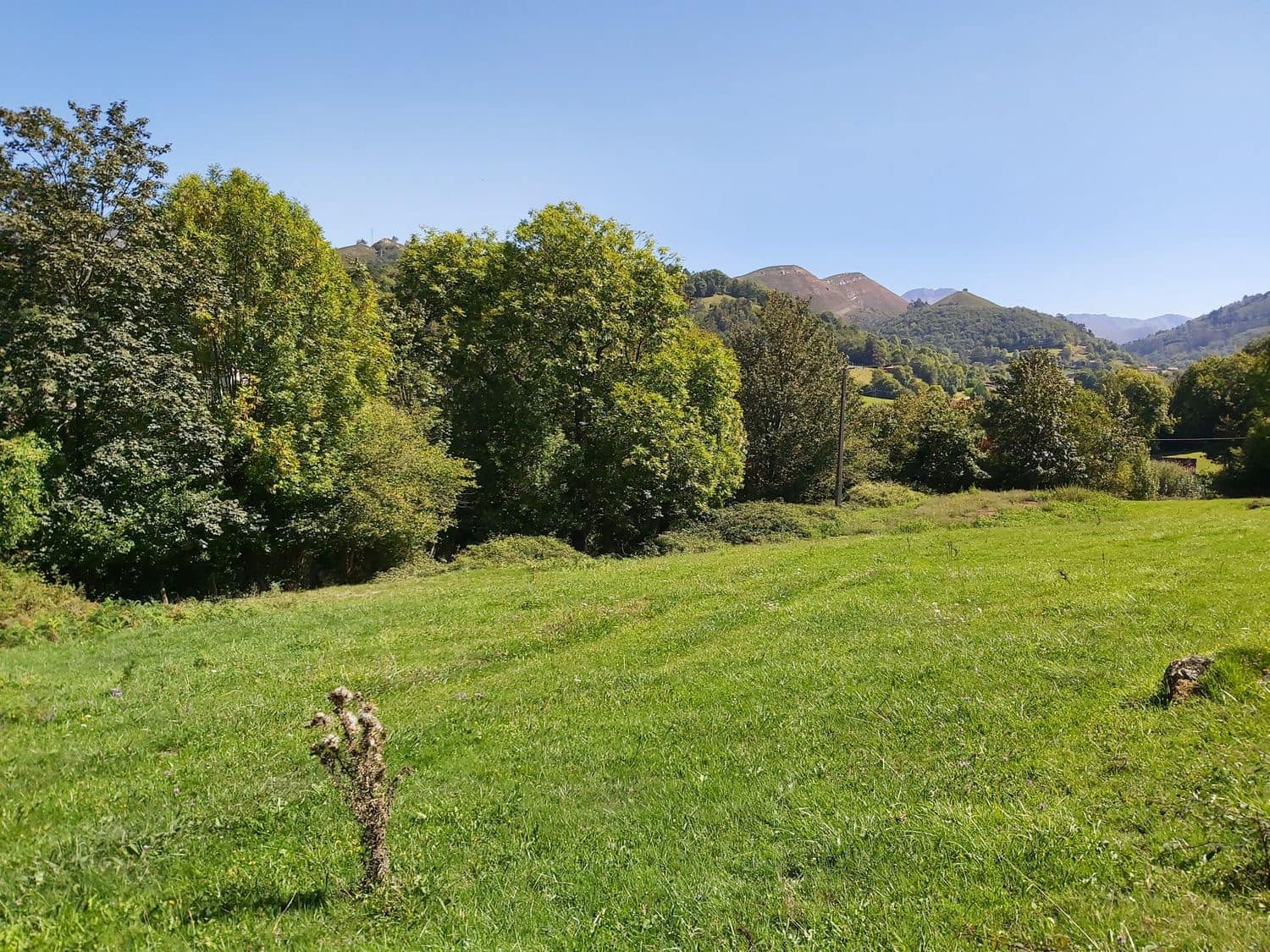 1 bedroom Finca/Country House for sale in Onis - € 160,000 (Ref: 6136073)