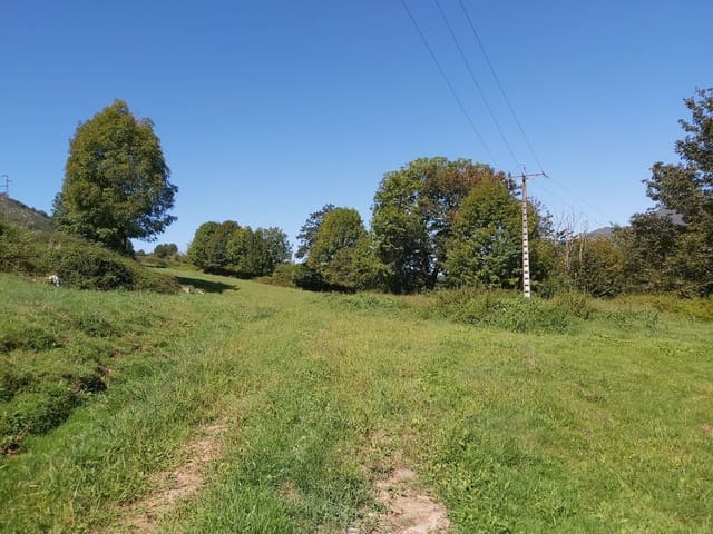 1 soverom Finca/Herregård til salgs i Onís - € 160 000 (Ref: 6136073)