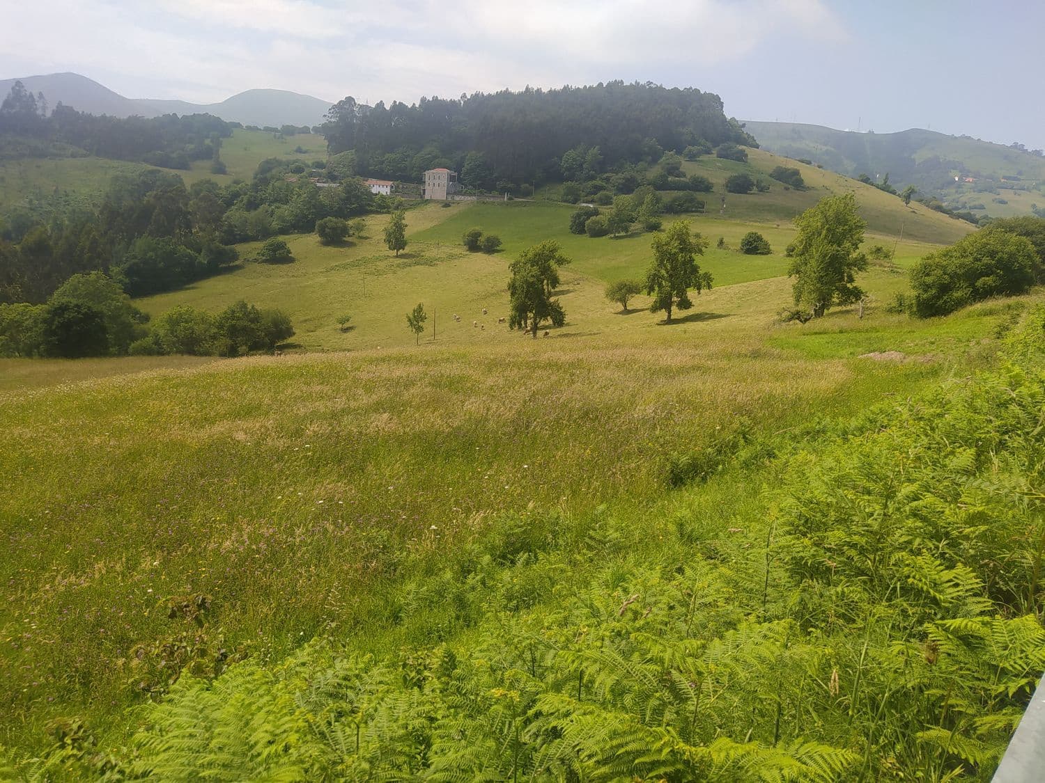 Ubebygd land til salgs i Illas - € 10 000 (Ref: 6243102)