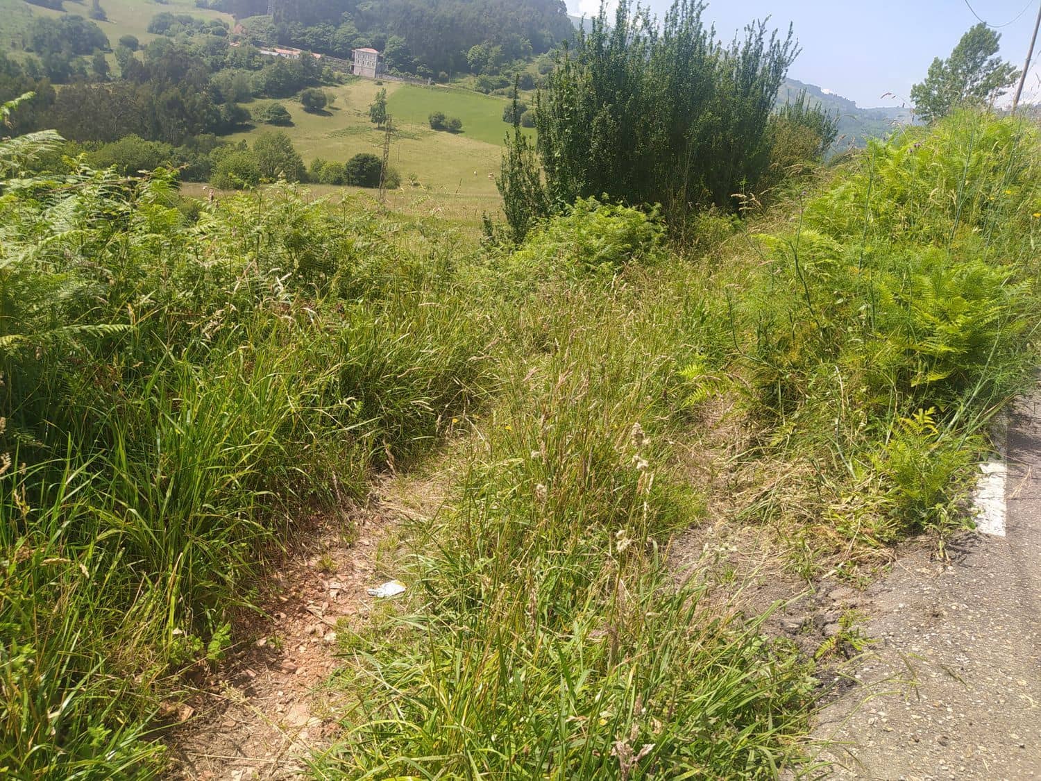 Ubebygd land til salgs i Illas - € 10 000 (Ref: 6243102)