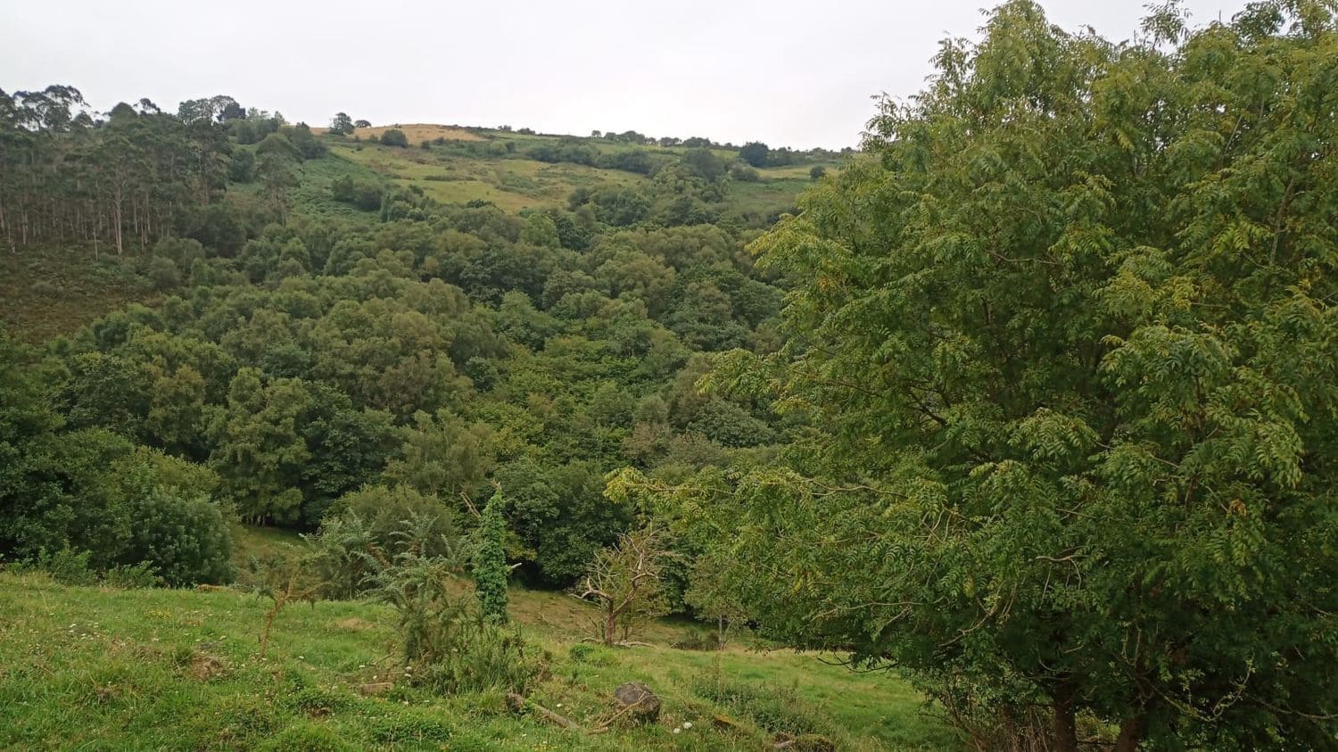 1 bedroom Finca/Country House for sale in Siero - € 63,000 (Ref: 6289933)