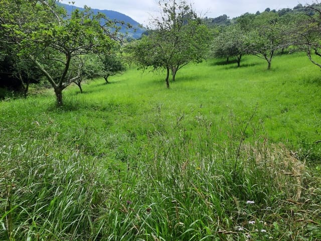 Undeveloped Land for sale in Gijón - € 14,500 (Ref: 6289939)