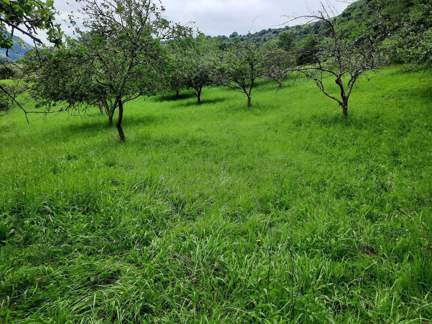 Grunde uden byggetilladelser til salg i Gijon - € 14.500 (Ref: 6289939)