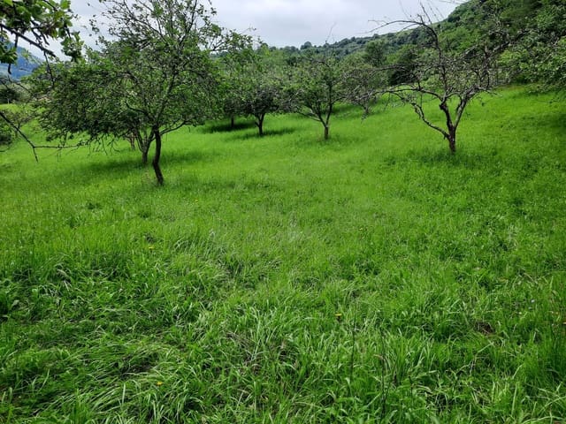 Undeveloped Land for sale in Gijón - € 14,500 (Ref: 6289939)