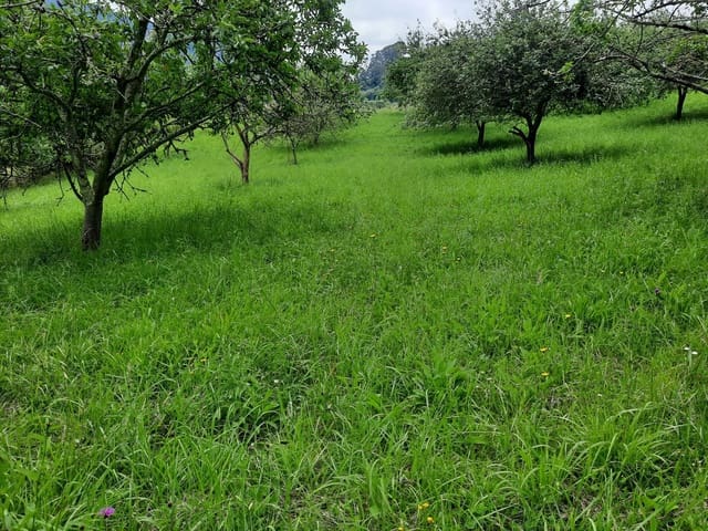 Undeveloped Land for sale in Gijón - € 14,500 (Ref: 6289939)