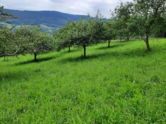 Undeveloped Land for sale in Gijón - € 14,500 (Ref: 6289939)