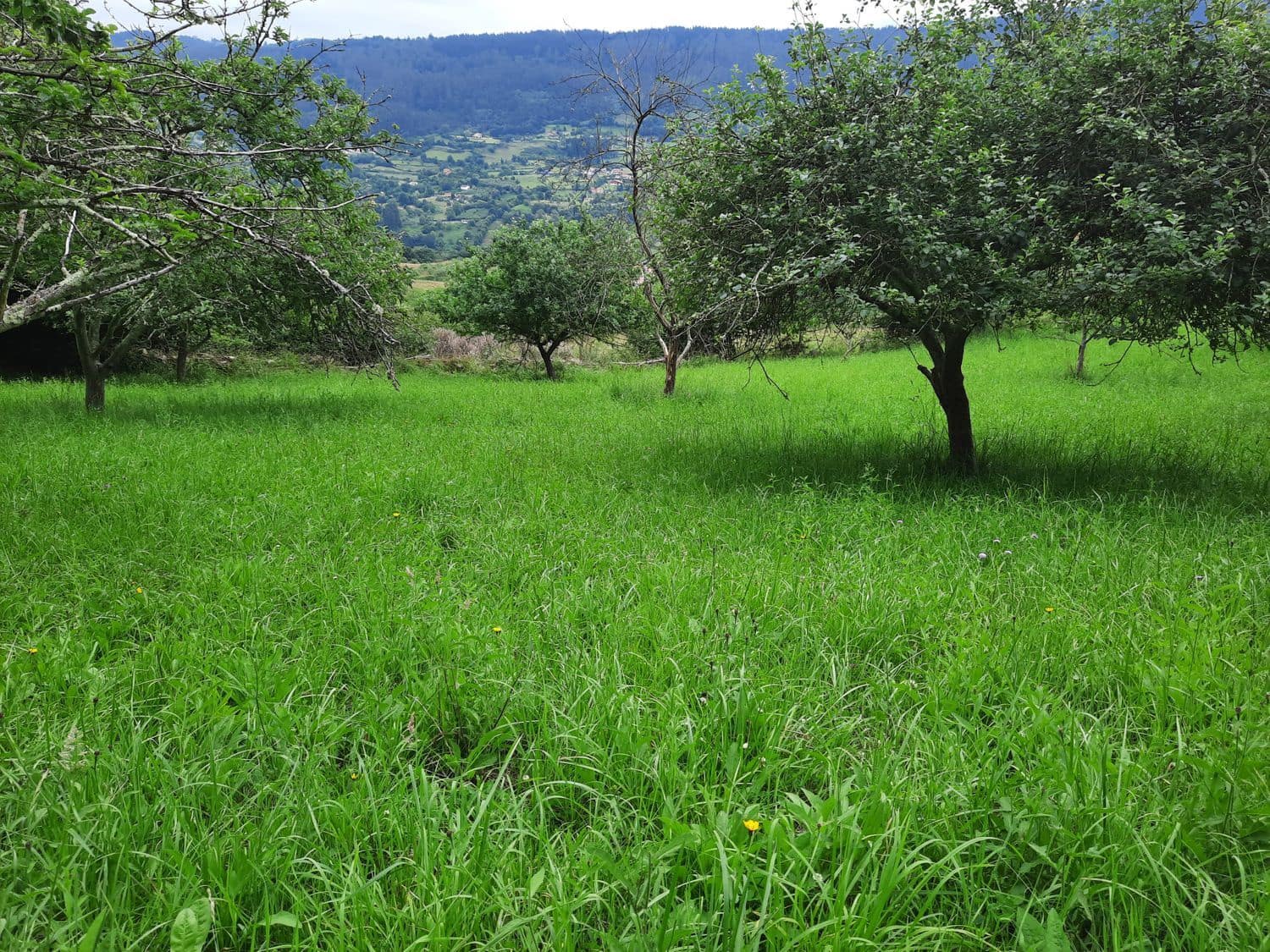 Grunde uden byggetilladelser til salg i Gijon - € 14.500 (Ref: 6289939)