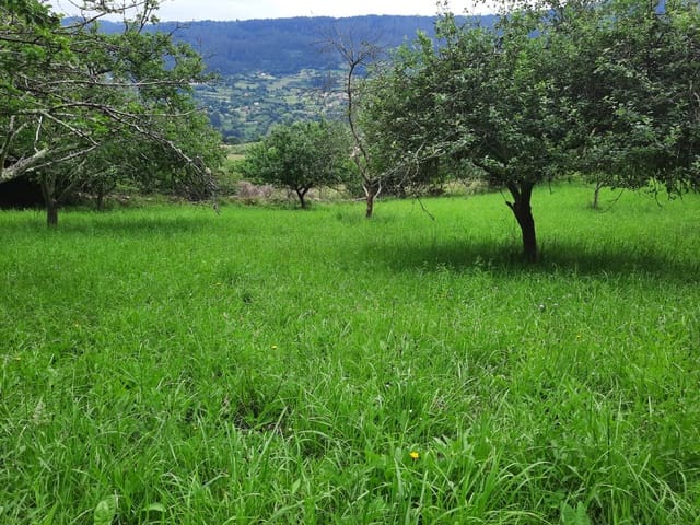 Undeveloped Land for sale in Gijón - € 14,500 (Ref: 6289939)