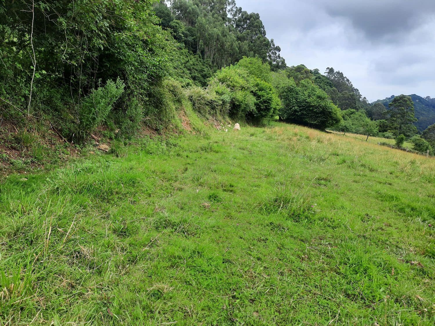 Grunde uden byggetilladelser til salg i Gijon - € 14.500 (Ref: 6289939)