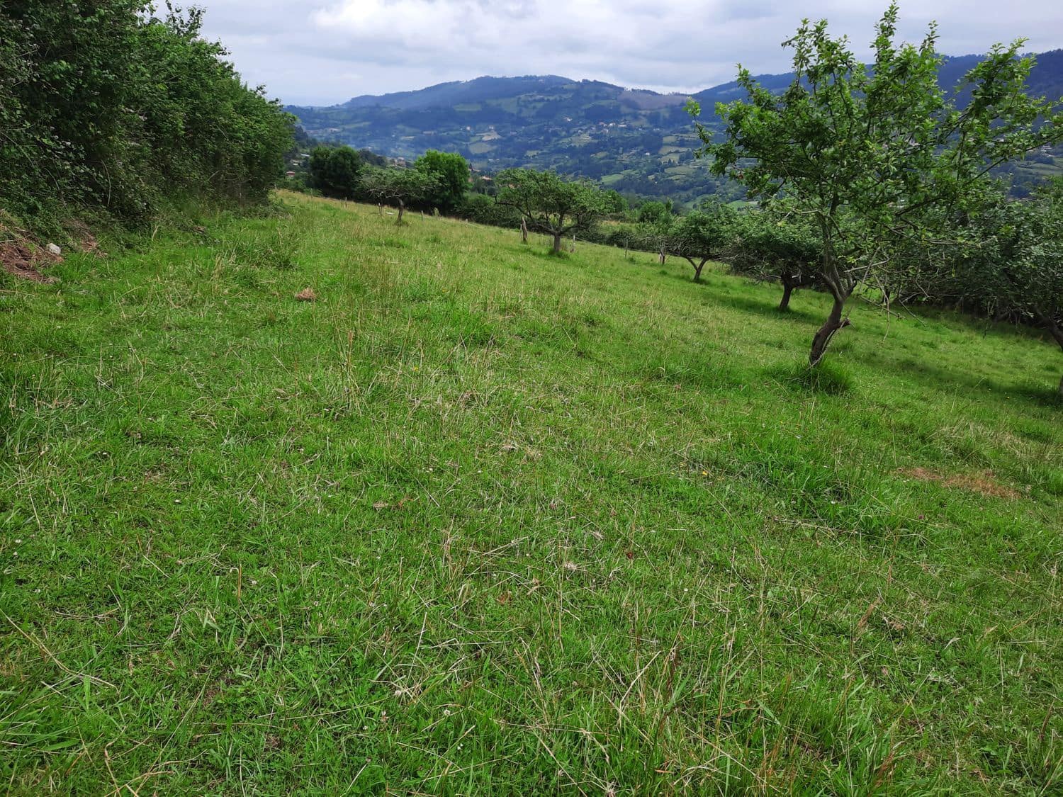 Grunde uden byggetilladelser til salg i Gijon - € 14.500 (Ref: 6289939)