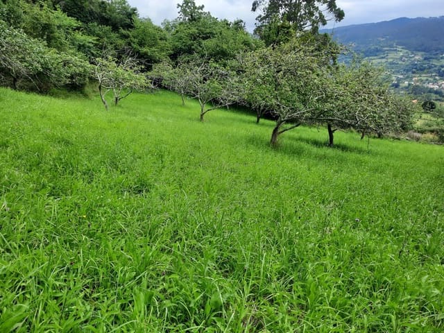 Undeveloped Land for sale in Gijón - € 14,500 (Ref: 6289939)