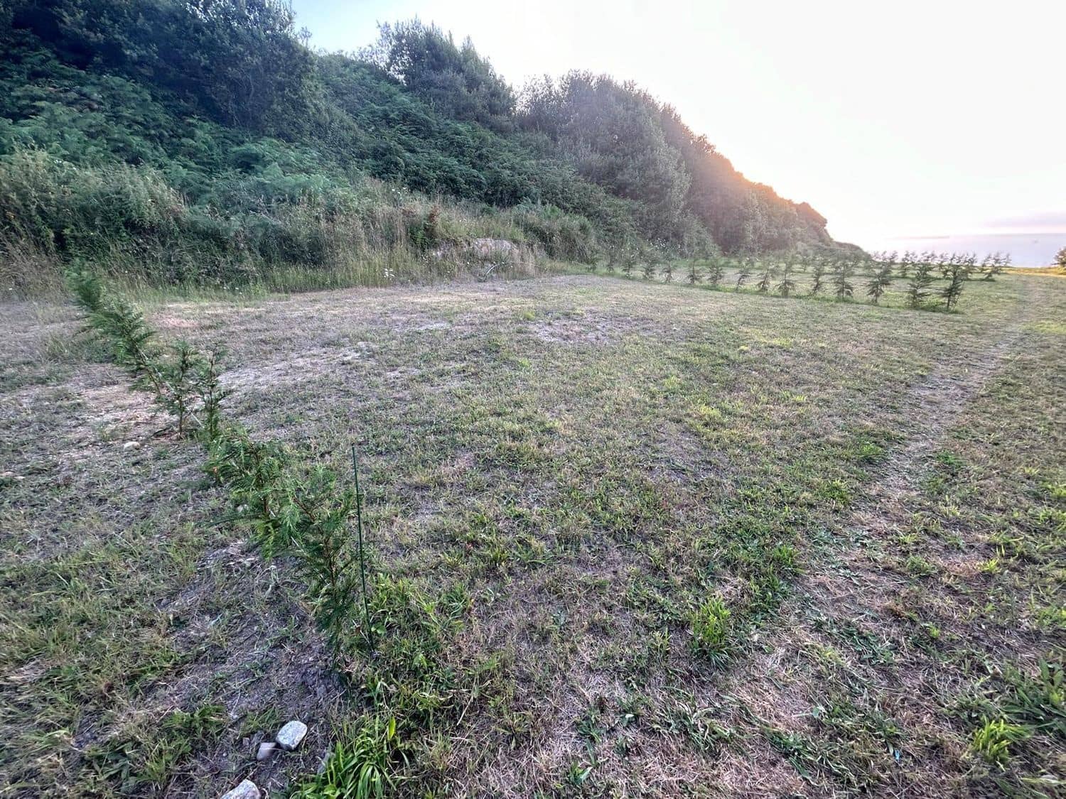 Grunde uden byggetilladelser til leje i Gijon - € 650 (Ref: 6560996)