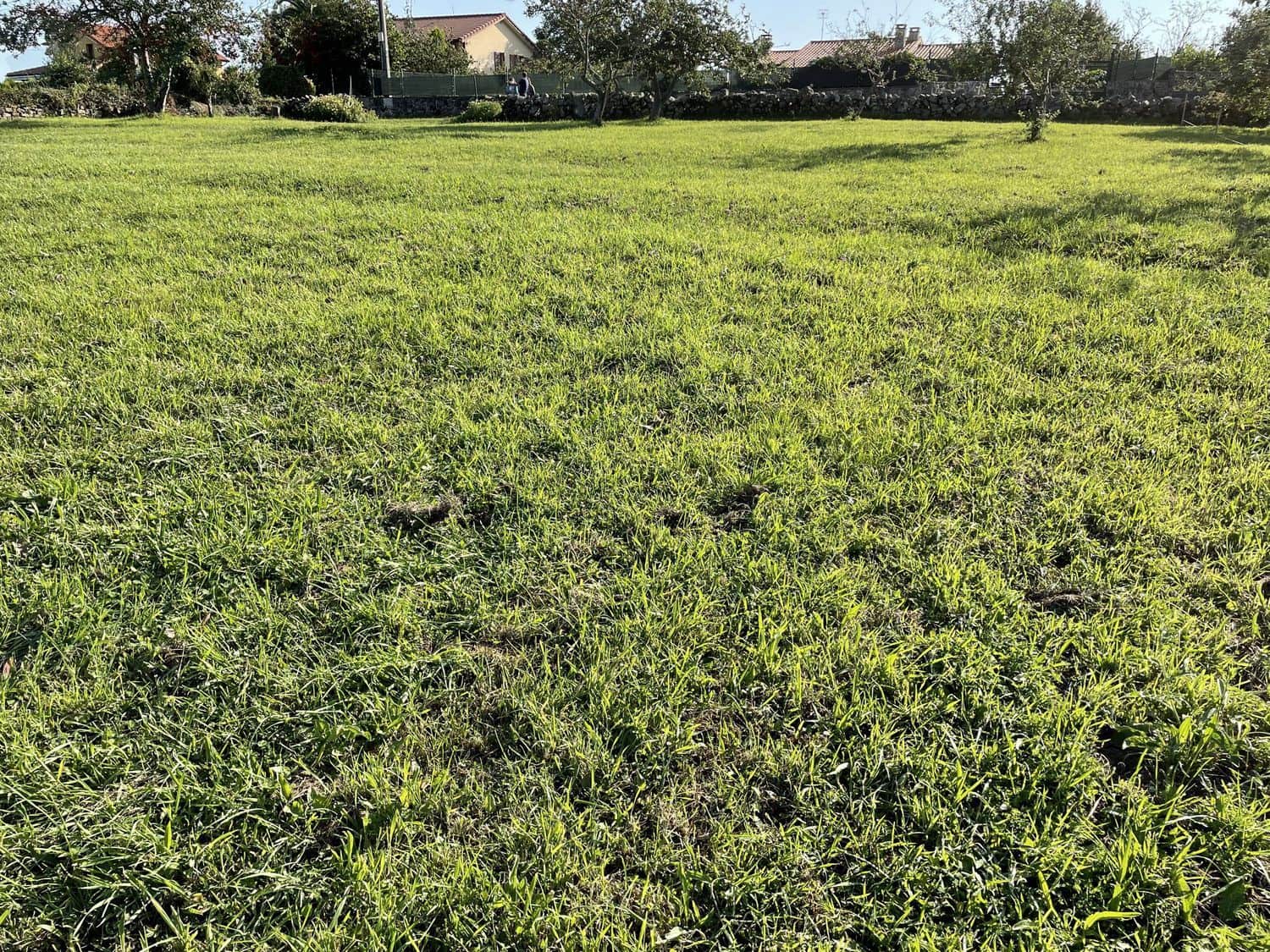 Undeveloped Land for sale in Villaviciosa - € 120,000 (Ref: 6561026)