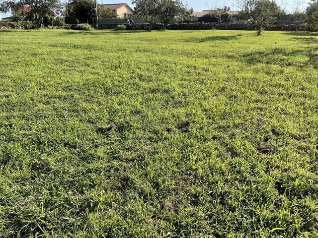 Rakentamaton maa myytävänä paikassa Villaviciosa - 120 000 € (Ref: 6561026)