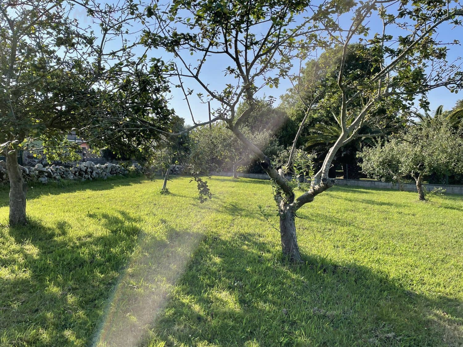 Undeveloped Land for sale in Villaviciosa - € 120,000 (Ref: 6561026)