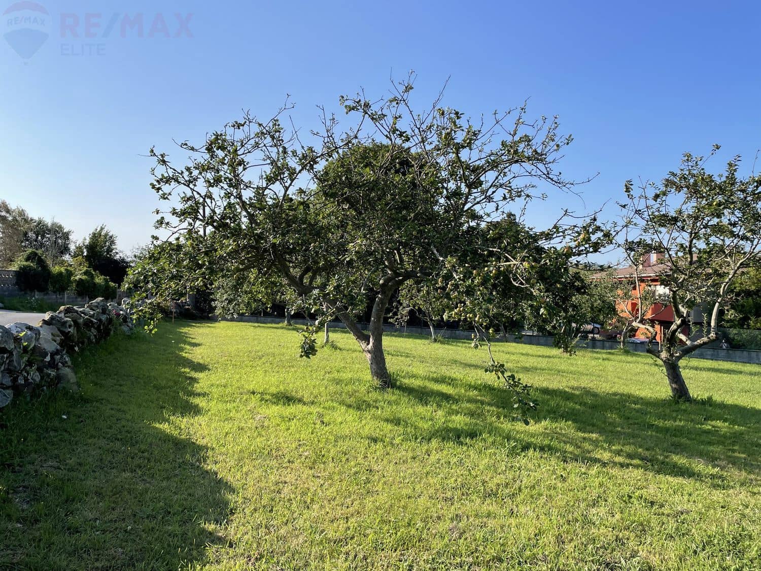 Undeveloped Land for sale in Villaviciosa - € 120,000 (Ref: 6561026)