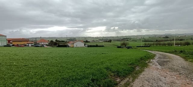 Undeveloped Land for sale in Gozón - € 198,000 (Ref: 6561065)