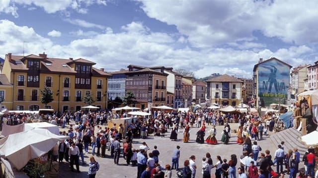 Undeveloped Land for sale in Nava - € 25,000 (Ref: 7015038)