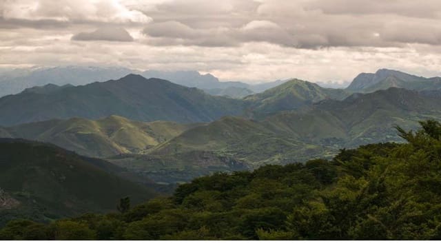 Undeveloped Land for sale in Nava - € 25,000 (Ref: 7015038)