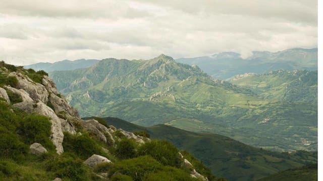 Undeveloped Land for sale in Nava - € 25,000 (Ref: 7015038)