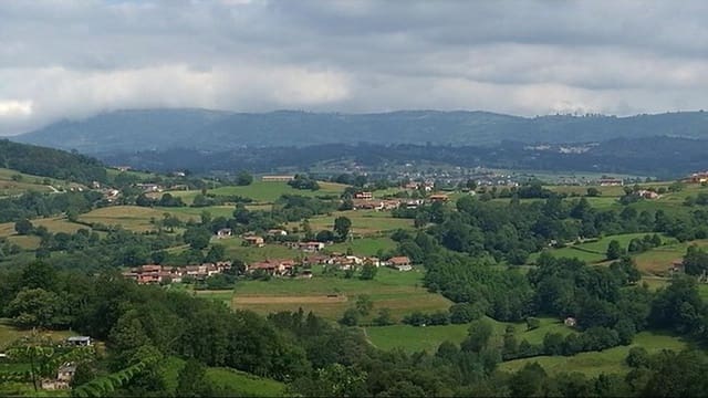 Undeveloped Land for sale in Nava - € 25,000 (Ref: 7015038)