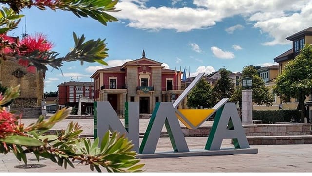 Undeveloped Land for sale in Nava - € 25,000 (Ref: 7015038)