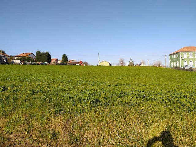 Undeveloped Land for sale in Gozón - € 70,000 (Ref: 7015048)