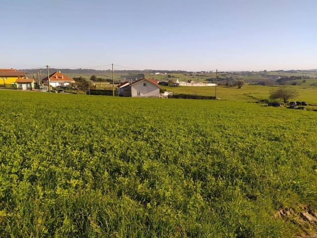 Undeveloped Land for sale in Gozón - € 70,000 (Ref: 7015048)